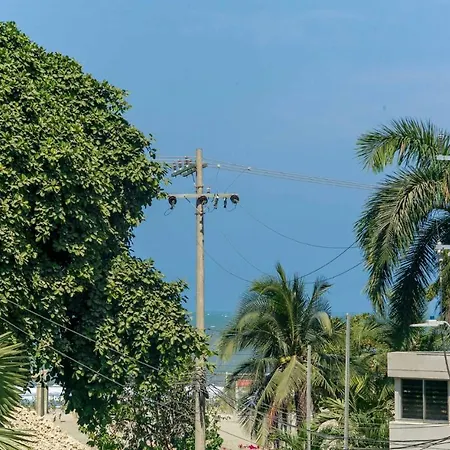 Bahari
